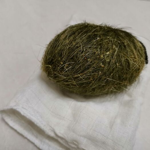 广水市 天然猪宝出售，价格面议，有意者可以联系我
