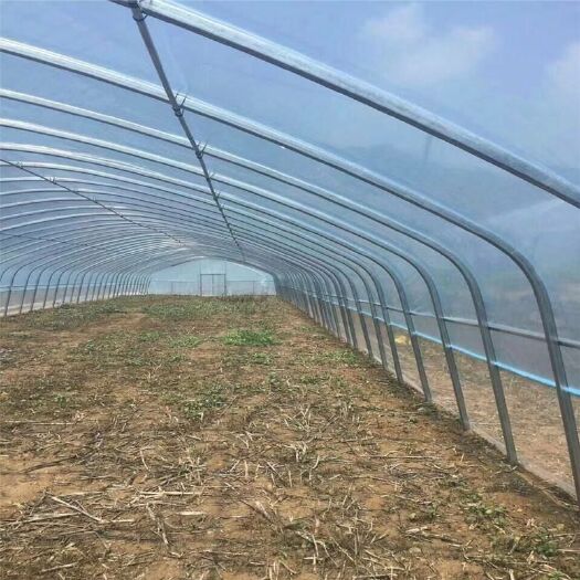 沭阳县 温室大棚 椭圆管棚