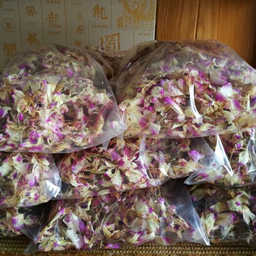 贵阳 贵州赤水金钗石斛花