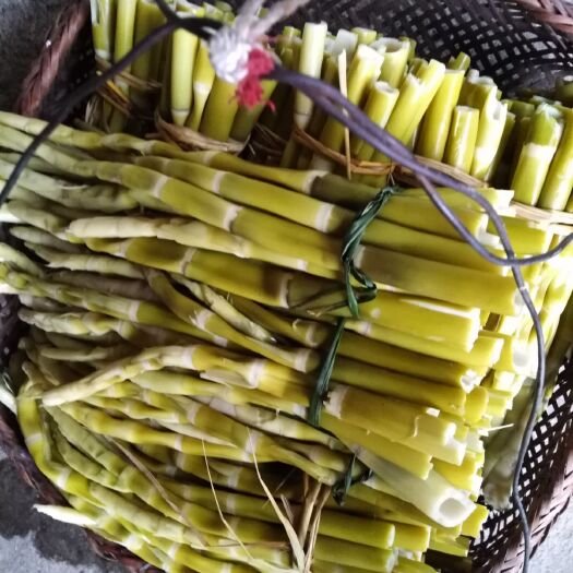 绥宁县山竹笋 山里小笋子，天然食品