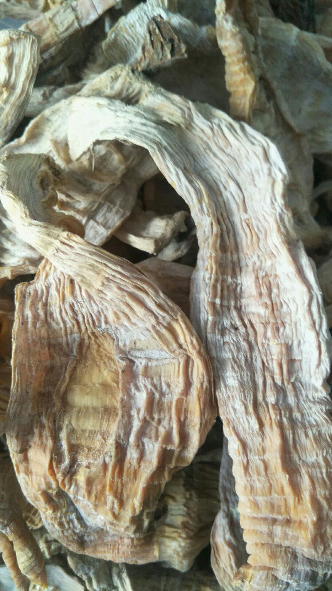 毛竹笋干  农家烘烤笋干