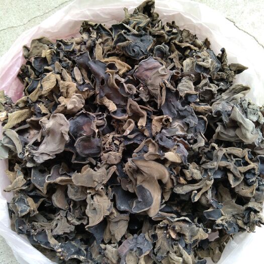 霍山县椴木木耳 干木耳 一级