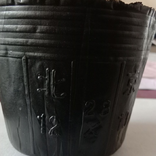 育苗袋/育苗杯/容器袋 12×10，育苗杯，实际尺寸8×7有