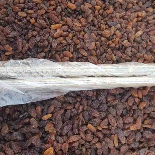 西安 红葡萄干，红提干，
