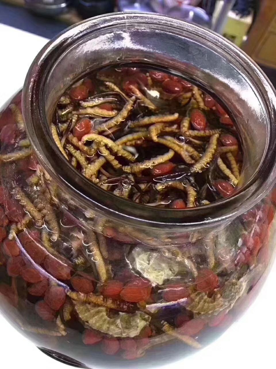  鲜草开刷…今天全是雪域高原大虫草
有钱难买当季鲜，错过等一年