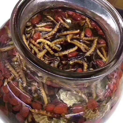 文山市 鲜草开刷…今天全是雪域高原大虫草
有钱难买当季鲜，错过等一年