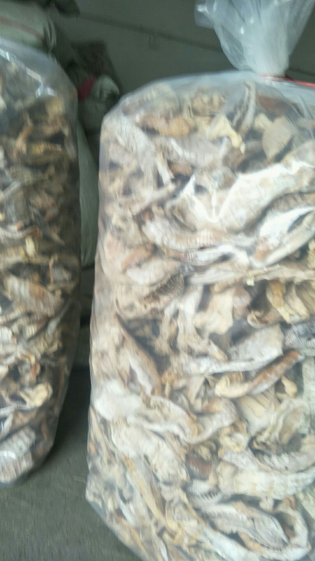 毛竹笋干  农家烘烤笋干