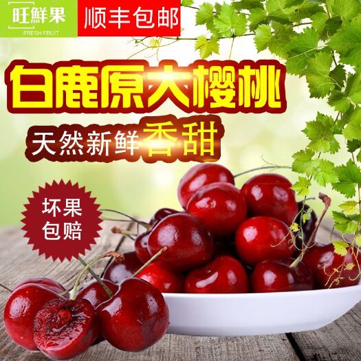 西安 白鹿原大樱桃4斤包邮