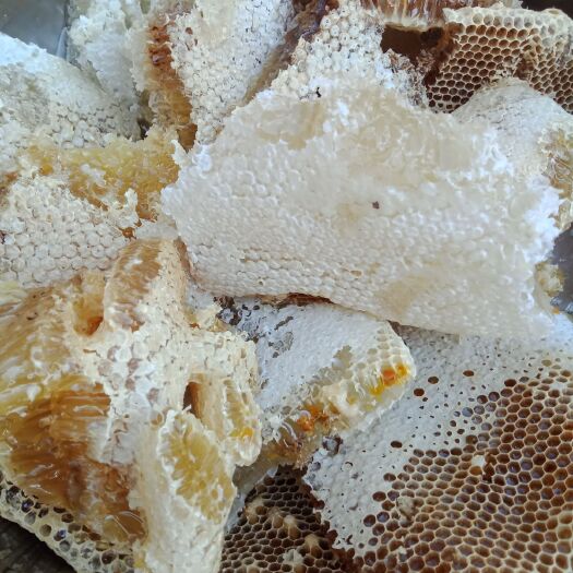 耿马县 蜂蜜大批量出炉了，纯属天然野蜂，有需要的朋友联系我