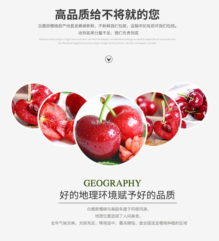  白鹿原大樱桃 现摘现发