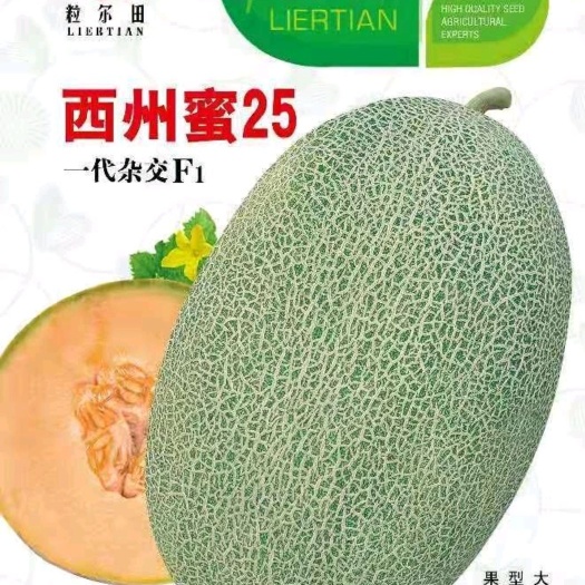 扶沟县西州蜜种子  西州蜜25种子~小蜜25~抗裂抗病产量高果肉桔