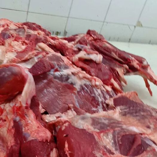 阳信县牛肉类  冷鲜牛肉
