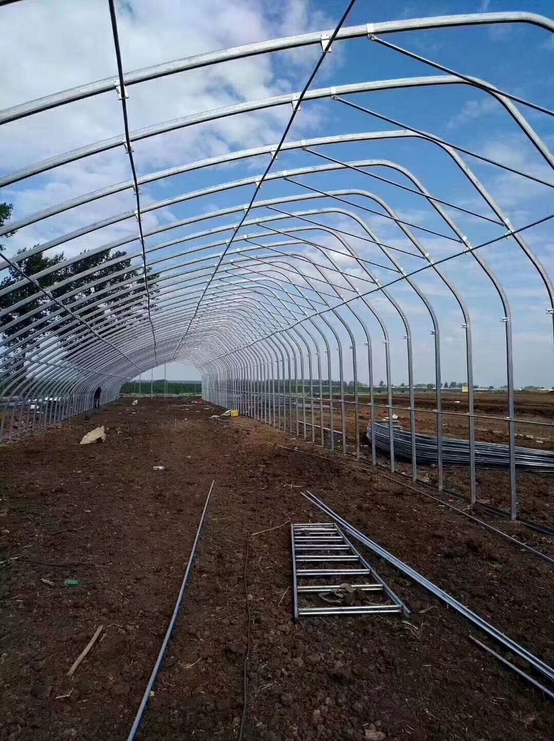 种植大棚  钢管大棚 主要生产销售  大棚管大棚配件  建设温室大棚