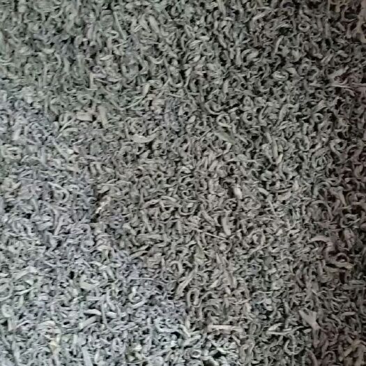 揭西县云雾茶 2021年白露茶