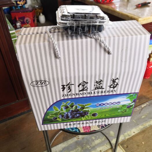 青岛 蓝丰蓝莓批发