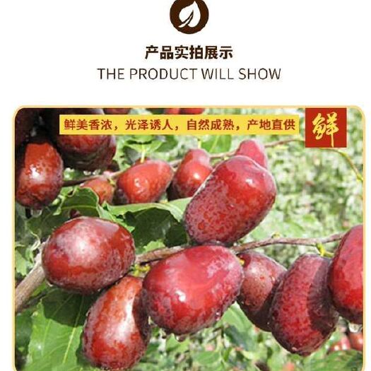庆城县新疆红枣 新疆大枣 新疆特级大枣自然晾干孕妇休闲食品