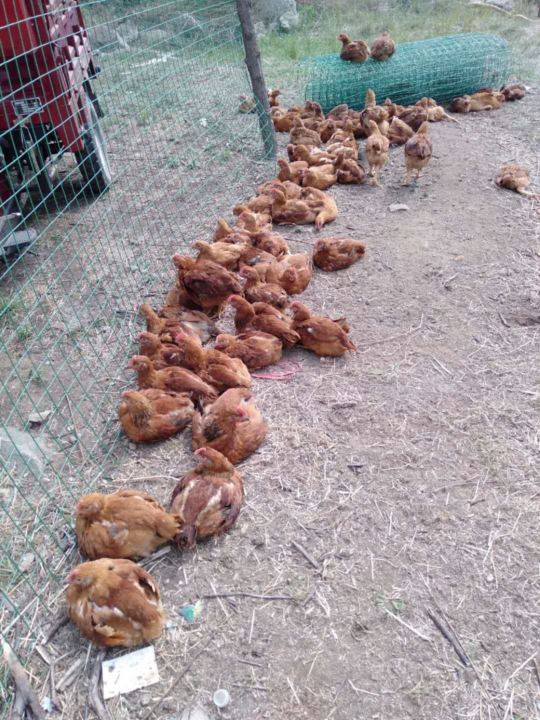 惠农找兼职 惠农找兼职