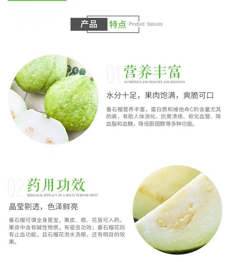  广西白心芭乐番石榴带箱6斤 新鲜当季水果现摘农家芭乐包邮