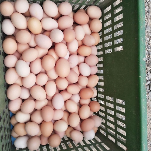 沭阳县 草鸡蛋，需要的联系