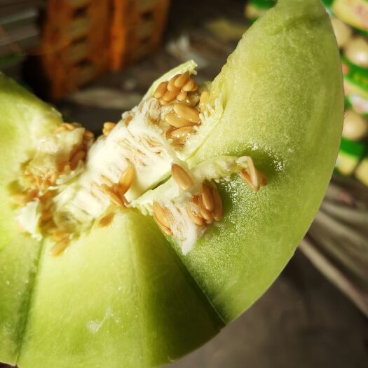 莘县玉菇甜瓜  不是所有的甜瓜都是脆甜，还有一种綿甜的甜瓜它叫玉