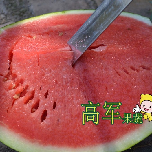 黑皮西瓜   陕西黑皮无籽西瓜品质高质量好