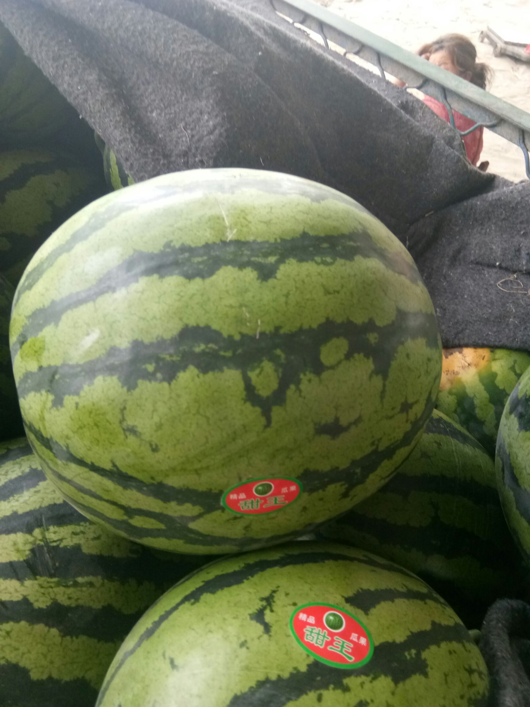  韩姐西瓜代收代发