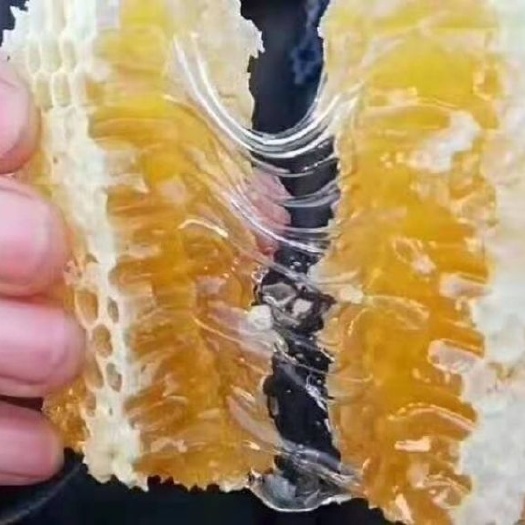 淄博 500g蜂巢蜜