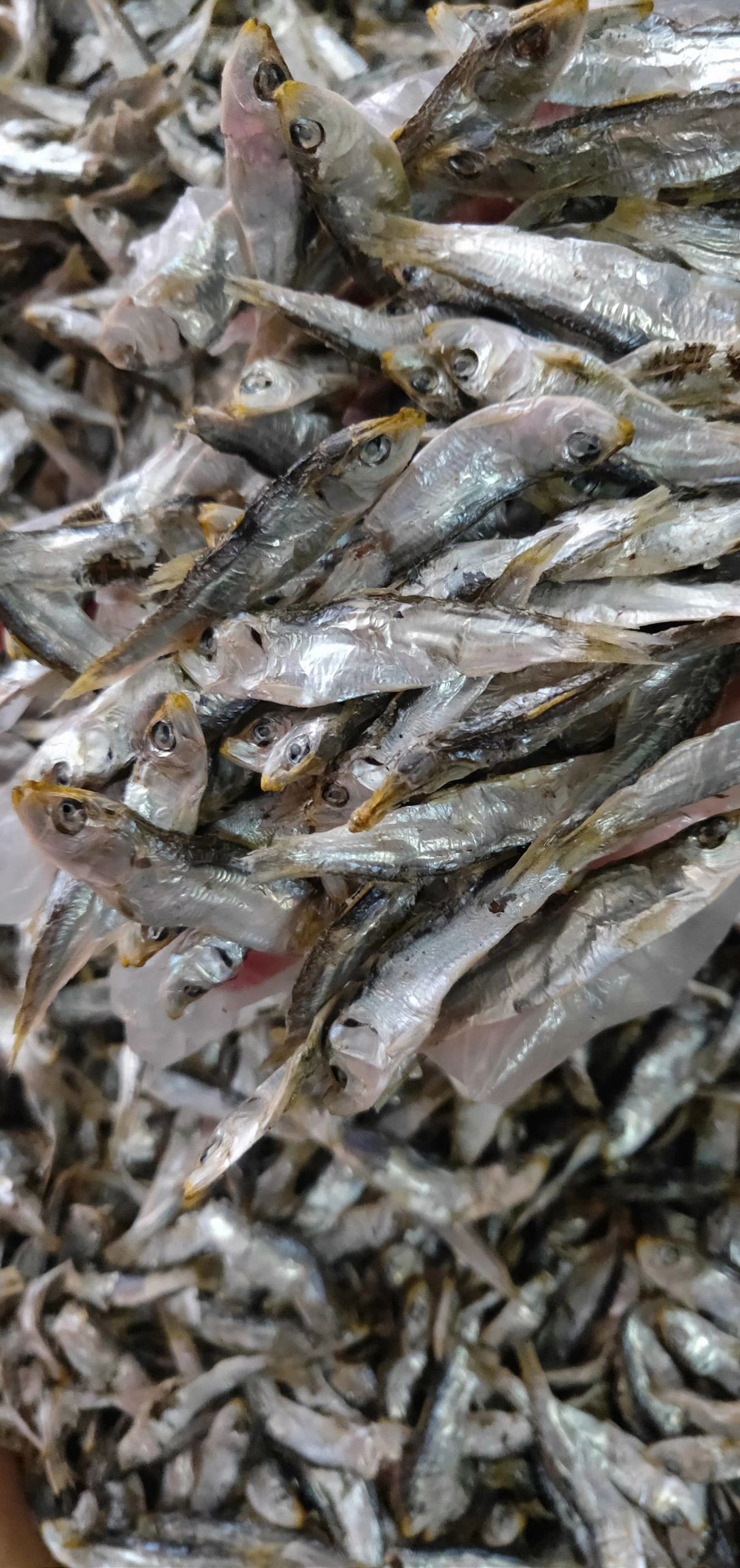 青鱼干