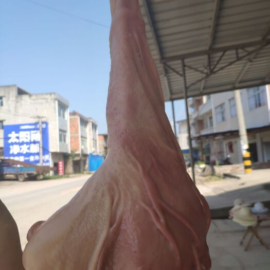 阳新县 猪肚猪肠猪耳朵猪尾巴
