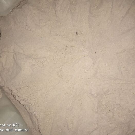 贡山县董棕粉 云南特产