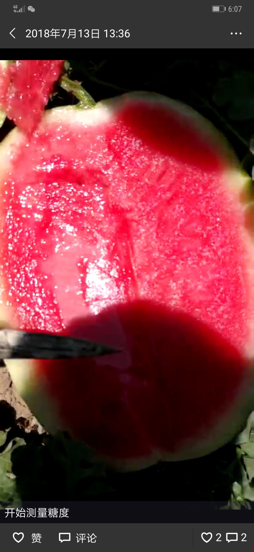  新疆西瓜沙漠西瓜产地直销