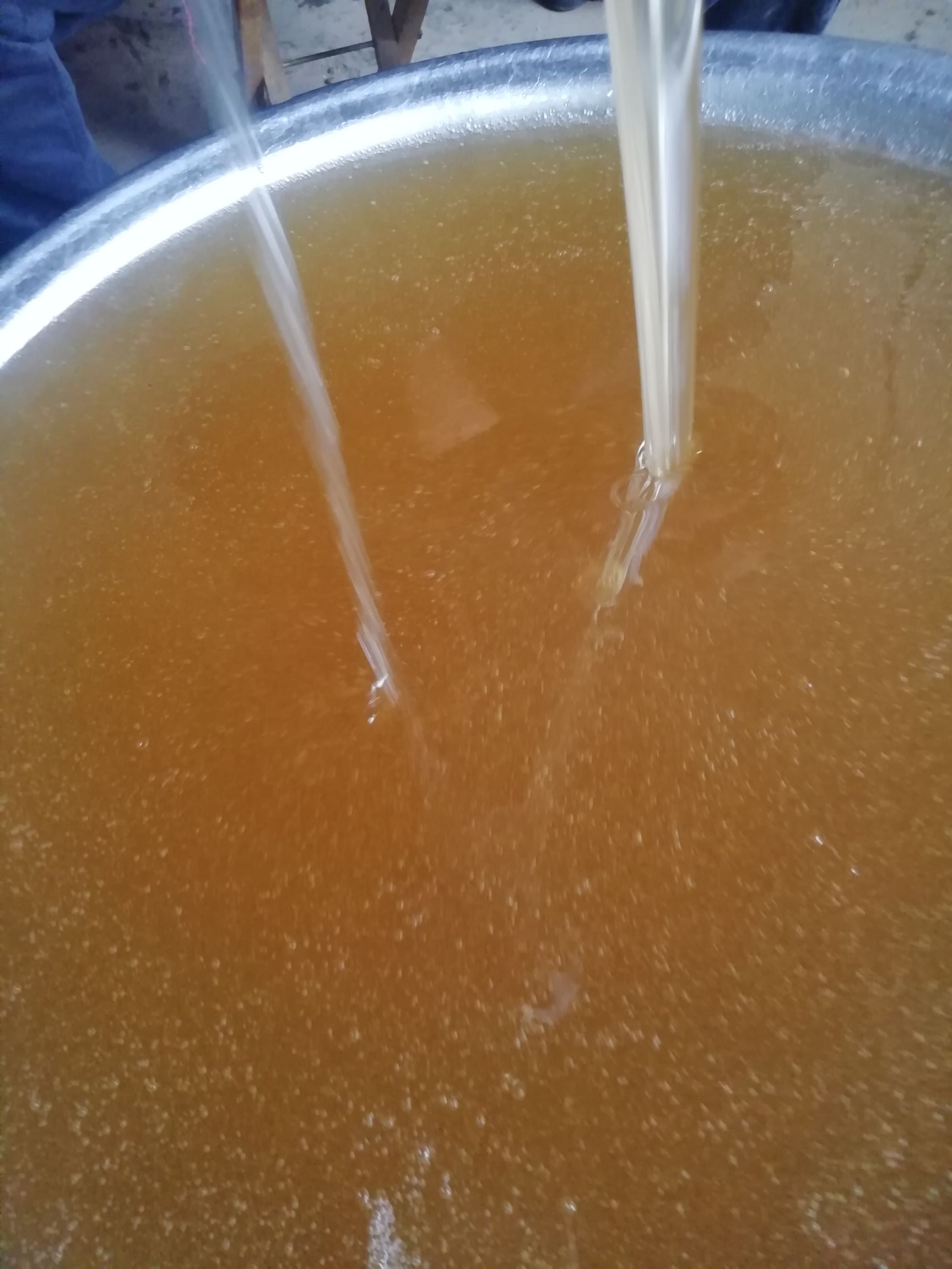 槐花蜜  蜂蜜，枣花蜜。农家自养洋槐蜜枣花蜜
