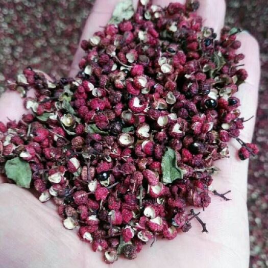 盐源县红花椒 特级 干花椒