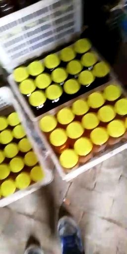 槐花蜜  蜂蜜，枣花蜜。农家自养洋槐蜜枣花蜜