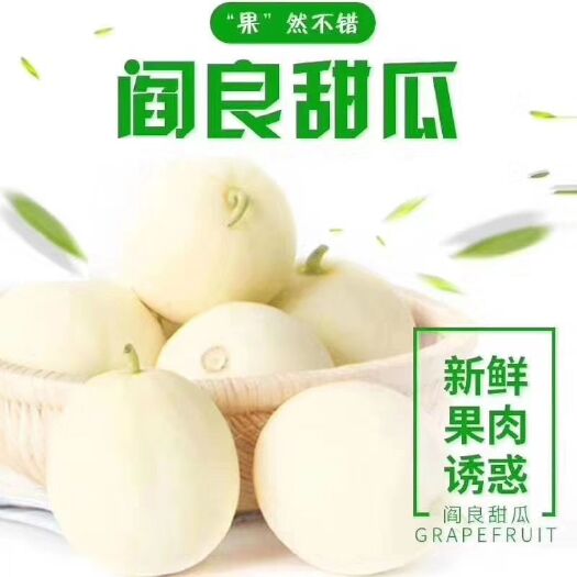 周至县阎良甜瓜 1斤以上