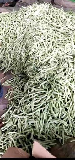  大量上市了需要油豆红豆的客户可以联系我