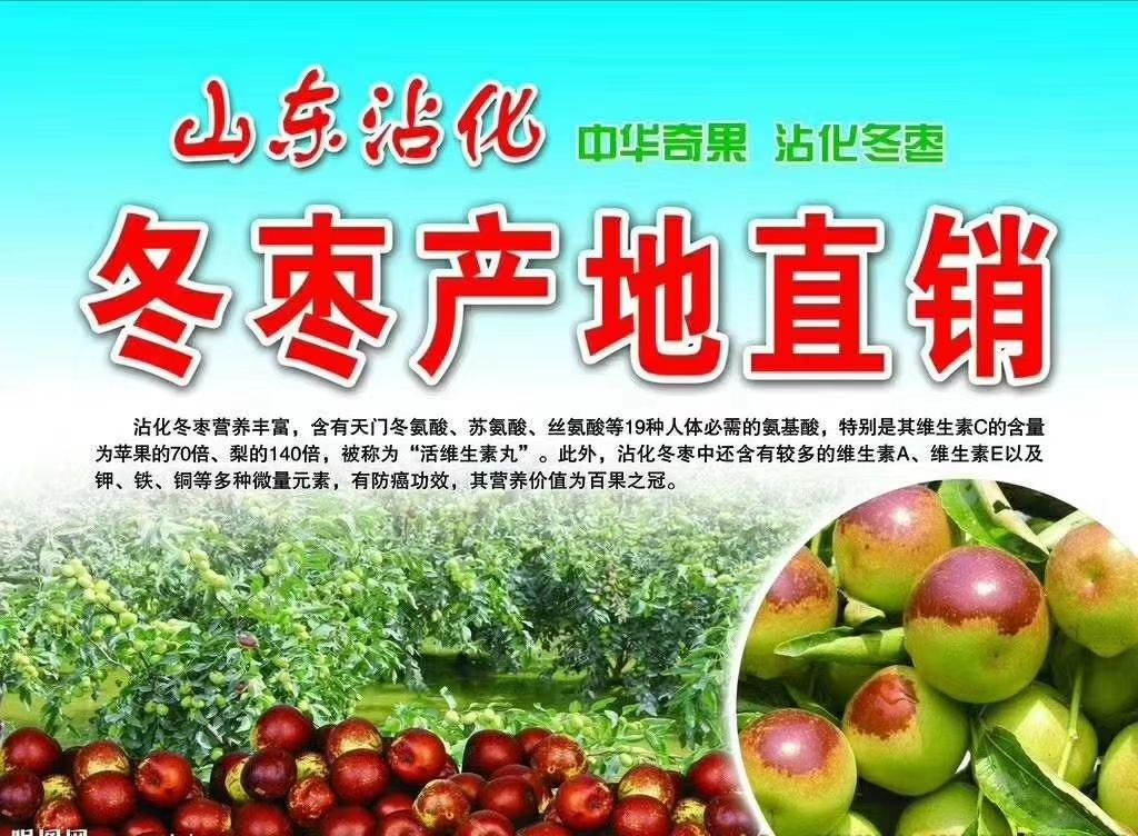 槐花蜜  蜂蜜，枣花蜜。农家自养洋槐蜜枣花蜜