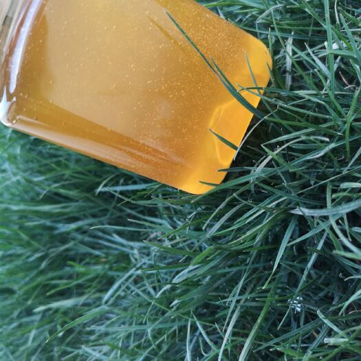 长葛市 天然广西荔枝蜜