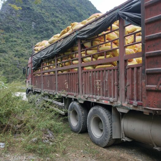 天等县 广西纯羊粪，40/公斤袋