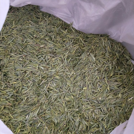雅安 四川蒙顶竹叶青茶，高山特级绿茶叶，天然无污染，明前礼盒装