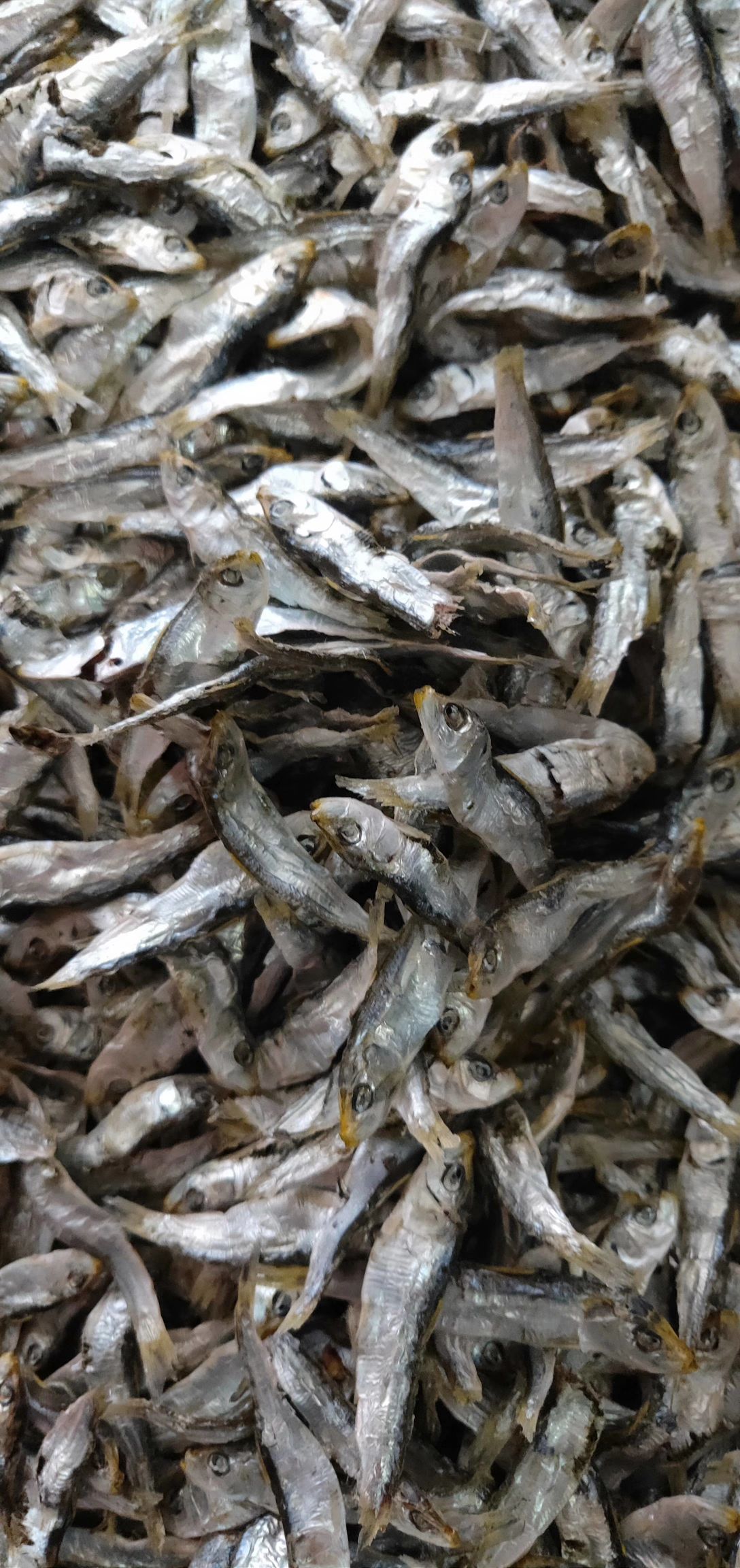 青鱼干