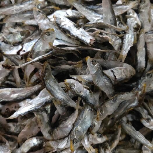 汕头青鱼干