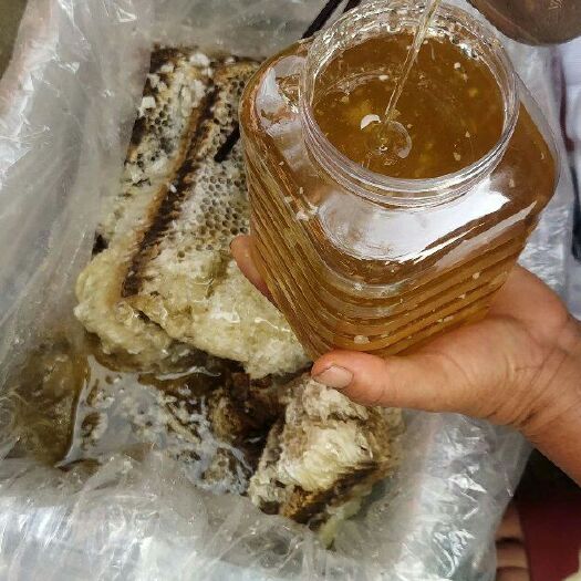 蒙阴县意蜂蜂蜜 塑料瓶装 2年以上 
