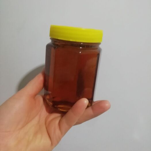 滨州槐花蜜  蜂蜜，枣花蜜。农家自养洋槐蜜枣花蜜