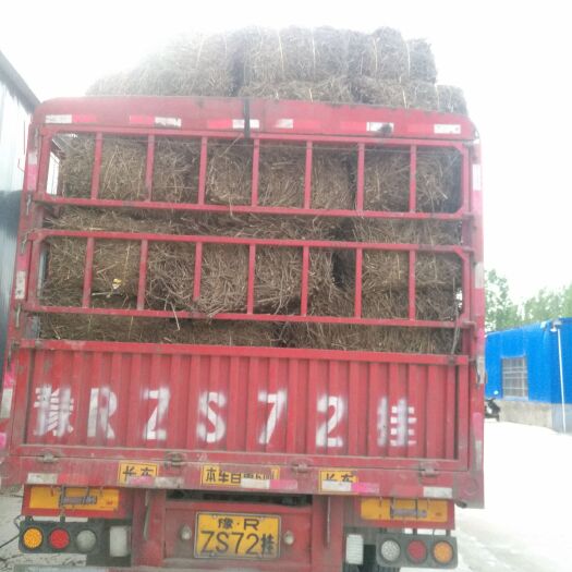 叶县整棵艾草去年货 