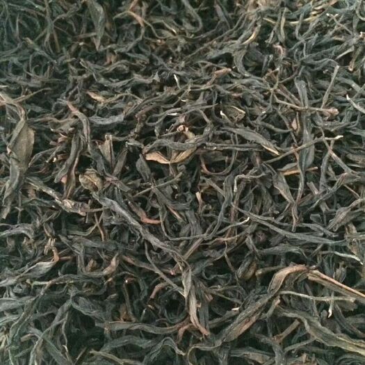 饶平县单丛茶   高山乌龙茶鸭屎香