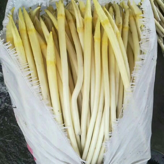 仙桃市白玉簪藕带 白玉簪藕尖，现货，有需要请下单