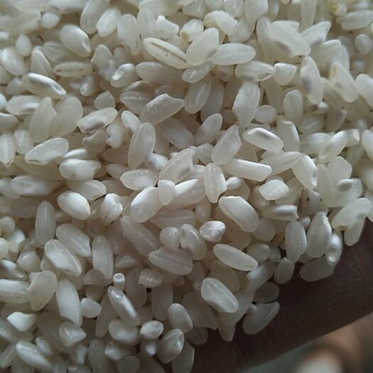 益阳糙米  制作米粉米线米皮米豆腐肠粉等专用米，大量供应，货源，质量稳定