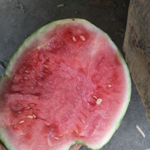 夏邑县 ，夏邑西瓜8424麒麟西瓜，冠龙西瓜，万亩西瓜大棚，质量保证