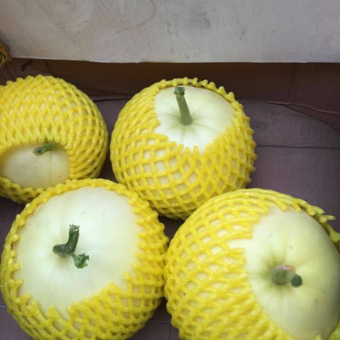  冷棚甜瓜大量供应